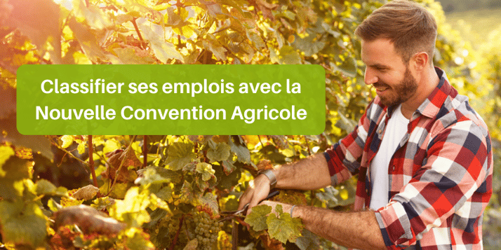 Comment classifier vos emplois avec la Nouvelle Convention Agricole ?