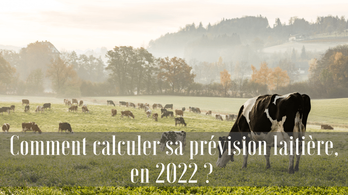 Calculer sa prévision laitière, en 2022 ? Indispensable et facile à réaliser seul