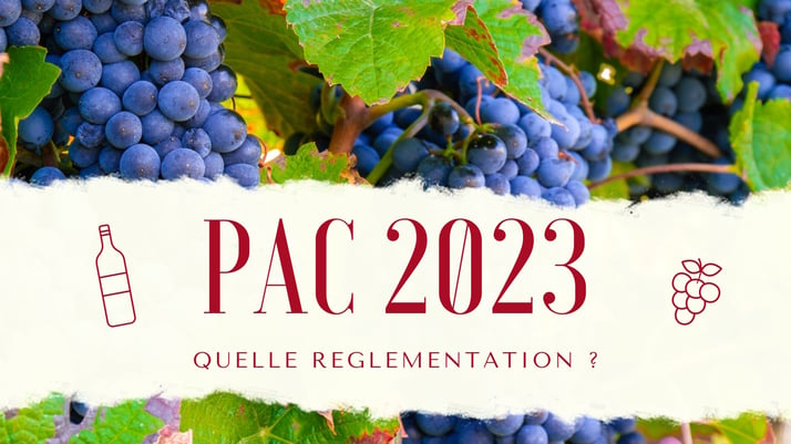 PAC 2023, vers un affichage des valeurs nutritionnelles du vin