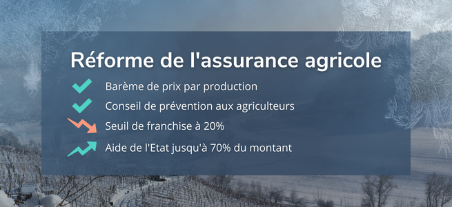 reforme-assurance-gel-vigne-agriculture