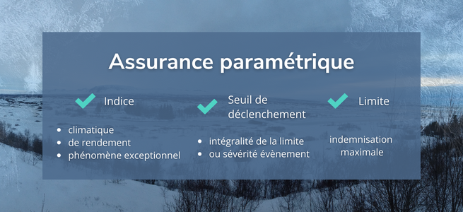 assurance-parametrique-gel-vigne-agriculture