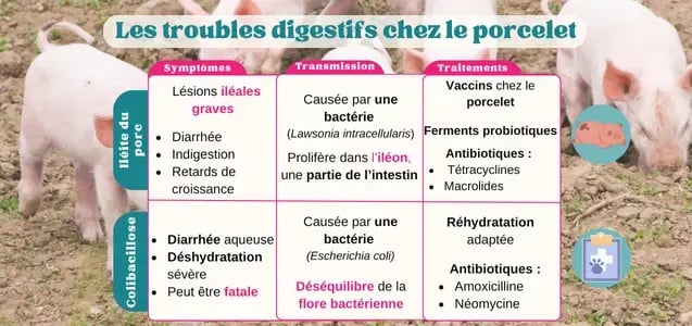 pigup photos impacts maladies digestives porcelets 2024