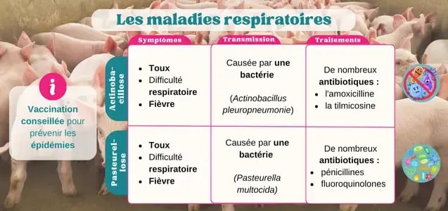 pigup-photos-maladies-respiratoires-porcs-2024.