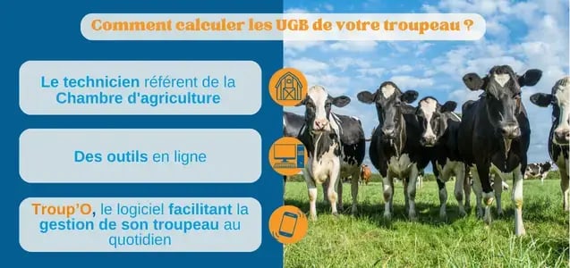 troupo-ugb-comment-calculer-2024.webp