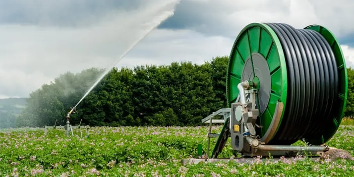 Irrigation maïs, pommes de terre... : Quel besoin en eau pour assurer de bons rendements ?