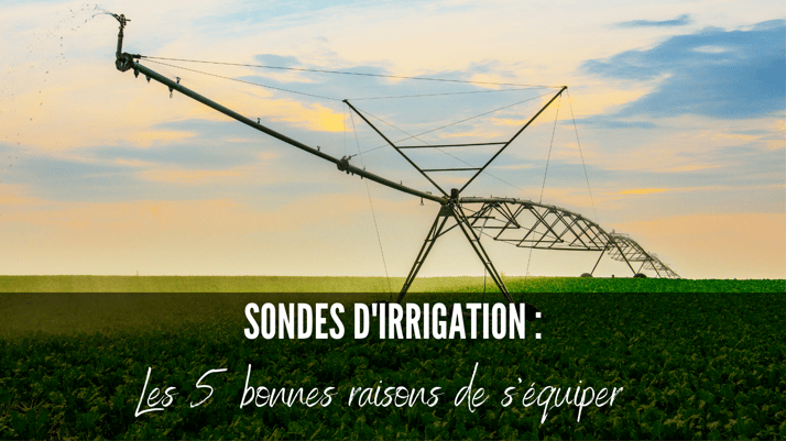 5 bonnes raisons de s’équiper d’une sonde d’irrigation