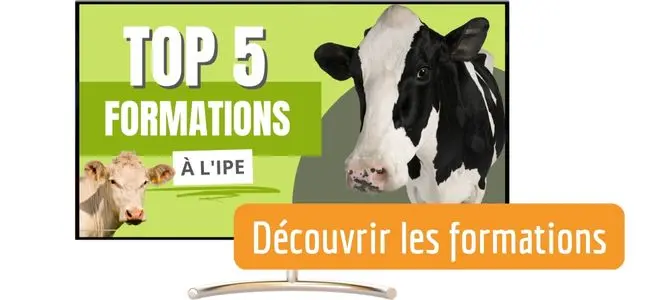 top-5-formations-insemination-par-eleveur-ipe