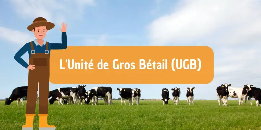 Les UGB, ou Unités de Gros Bétail, au Service des Éleveurs