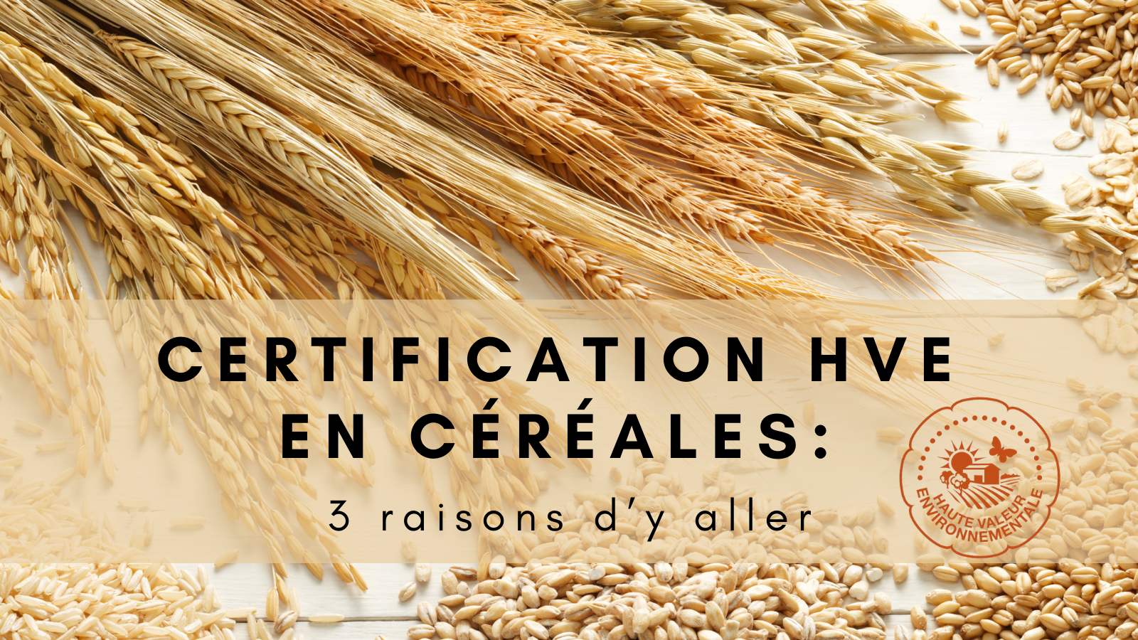 Certification HVE en céréales : 3 raisons d'y aller